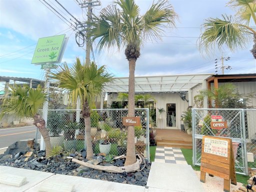 観葉植物専門店「Green Ace Plants Shop」が大府市にオープンしていた