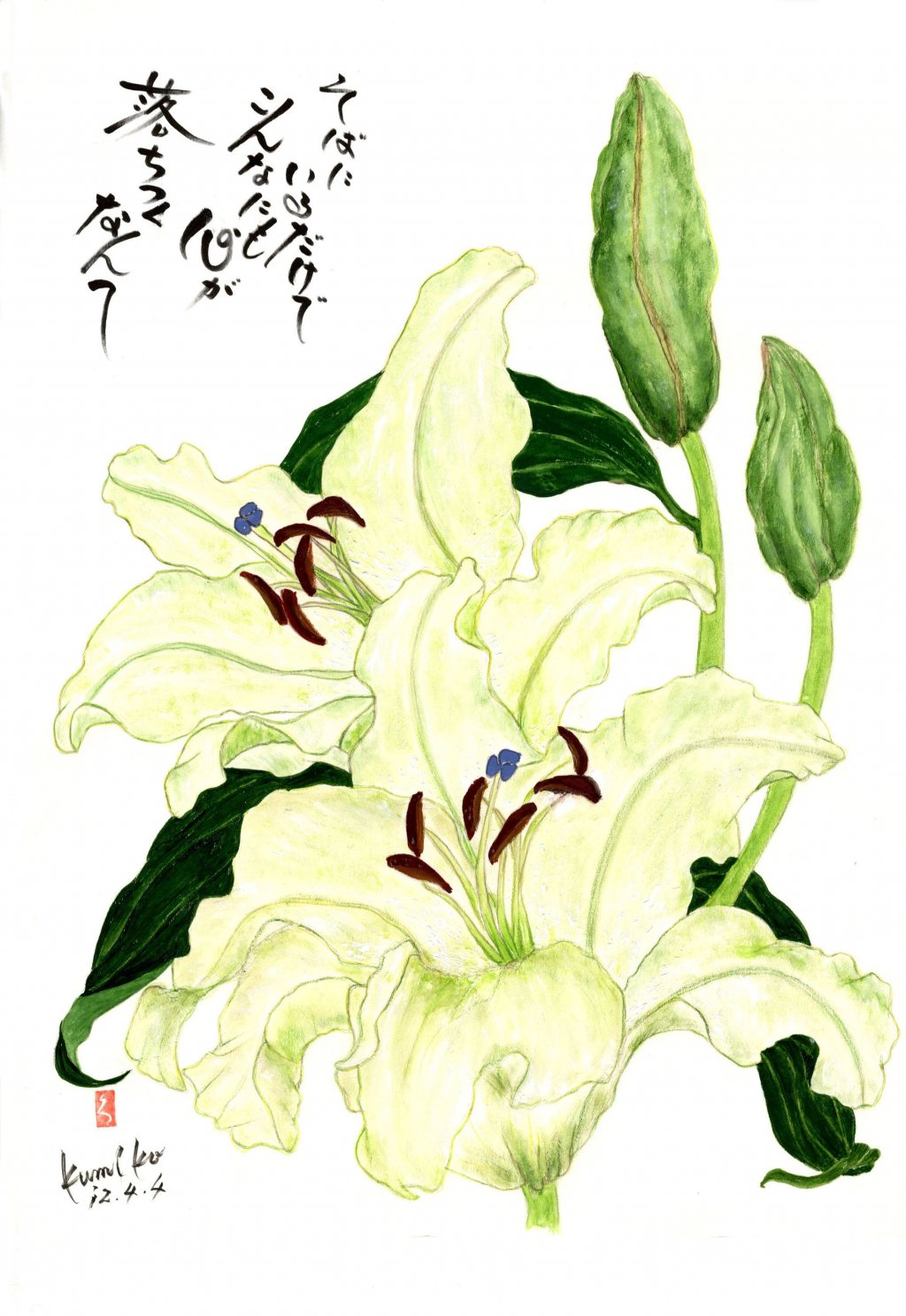 最高カサブランカ 花 言葉 白 美しい花の画像