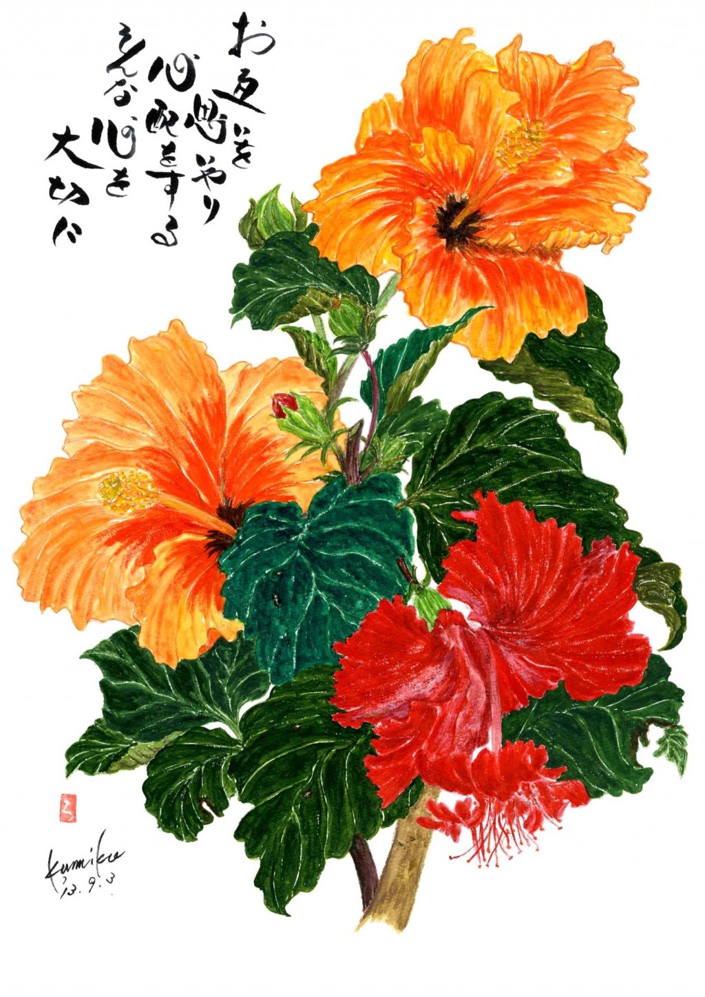 トップ100 赤い ハイビスカス 花 言葉 すべての美しい花の画像
