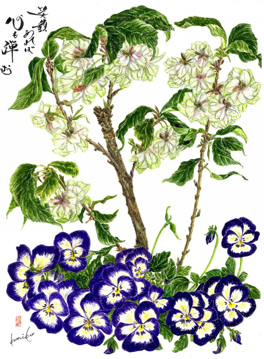 鬱金桜(ウコンザクラ)＆パンジー 　花言葉「鬱金桜≒心の平安」「パンジー≒もの思い」