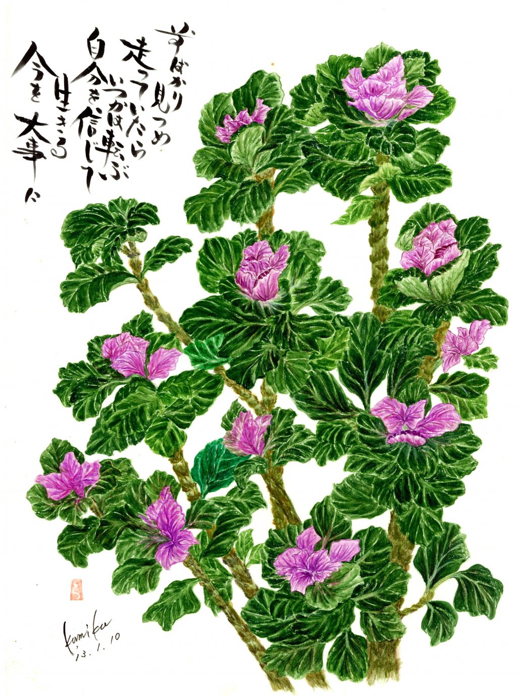 ハボタン(葉牡丹)　花言葉「愛を包む」