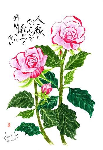 ハーバリスト（薔薇）　花言葉「温かい心」