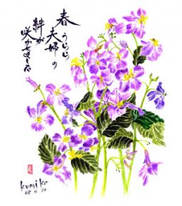 紫ハナダイコン　　花言葉「知恵の泉」