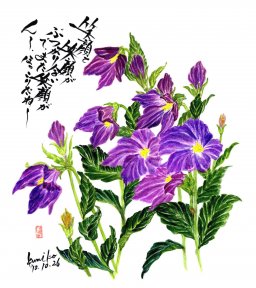紫キキョウ　花言葉「誠実」