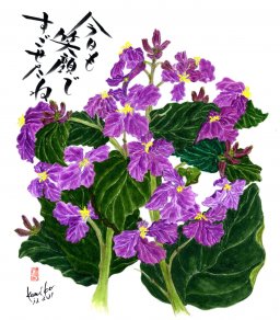 紫ハナダイコン　花言葉「知恵の泉」