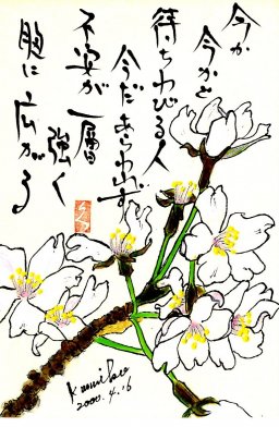 桜(サクラ) 花言葉「精神美」