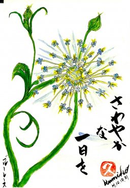 ブルーレースフラワー　花言葉「優雅なふるまい」　　