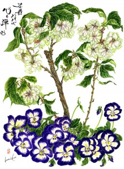 鬱金桜(ウコンザクラ)＆パンジー 　花言葉「鬱金桜≒心の平安」「パンジー≒もの思い」