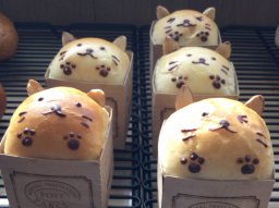 【開店】可愛すぎるネコのパン!?「Renard（ルナール）」が武豊町にオープン