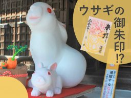 「卯年」に開運祈願！住吉神社でウサギの御朱印みっけ【2023年開運ウサギめぐり】