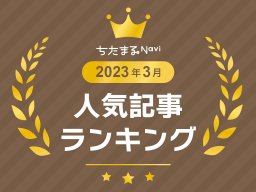 【2023年3月】人気記事アクセスランキングTOP10