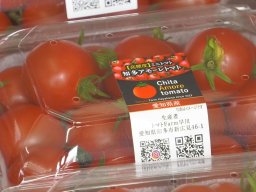 【開店】完熟ミニトマト直売所「トマトFarm早川」が知多市にオープン！