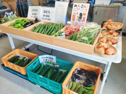 【開店】有機肥料で育てた野菜直売所「FARM LOT ⑨」が知多市に8/1(火)オープン