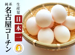 【知多半島の人気食材】食へのこだわりを持つ人必見！贅沢な名古屋コーチンの卵／ちたまるショッピング