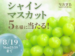 【5名様にプレゼント】大府市産シャインマスカットが抽選で当たる！8/19(月)締切