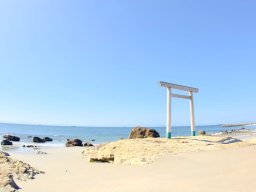 【市町別】知多半島 風水害ハザードマップまとめ｜台風・津波・高潮対策