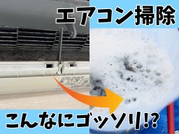 エアコン掃除は秋が最適！自分でできる？業者に依頼？プロに聞いてみた／ちたまる広告