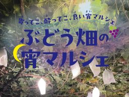 大人から子どもまで！グルメやトークを楽しむ「ぶどう畑の宵マルシェ」が東浦町で10/26(土)開催