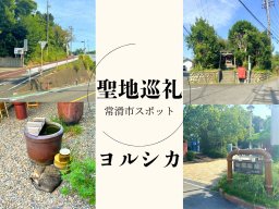 常滑市に人気バンド「ヨルシカ」のMVロケ地が！「やきもの散歩道」を聖地巡礼してみた