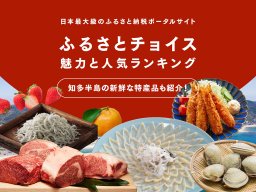 ふるさとチョイスの魅力と人気ランキング「知多半島の新鮮な特産品7選」を紹介！