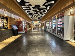 一体、何台あるの!?両脇に自動販売機がズラッと並ぶ“自販機ロード”【おもしろ自販機#52】
