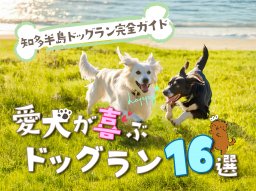 知多半島のドッグラン完全ガイド！愛犬と遊べるおすすめスポット16選