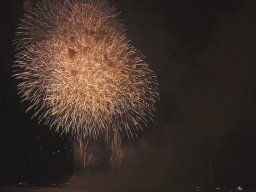 延期開催された知多市の「新舞子花火大会」！色とりどりの花火が秋の夜空を彩る