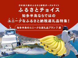 ふるさと納税でこんな物が!? 釣り船乗船券、バナナの木のオーナーなど「ユニークな返礼品」を調べてみた／ちたまる広告