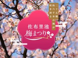 約6千本の梅が咲き誇る！知多市・佐布里池梅まつり2/8(土)～3/9(日)開催