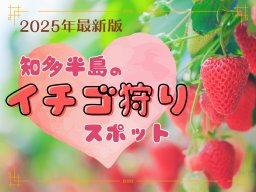 【2025年最新】愛知でイチゴ狩りするなら！知多半島イチゴ狩りスポット＜全24か所＞