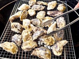篠島の牡蠣食べ放題がまだ間に合う！美浜町「うつみ食堂」で贅沢BBQ体験