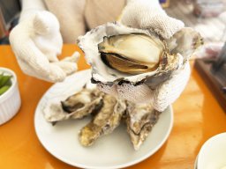 通年で牡蠣が食べられる！GWにおすすめ「WOOD DESIGN PARK 野間」で海を眺めながら贅沢BBQを堪能