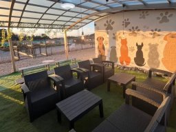 【開店】こだわりのコーヒーと窯焼きピッツァが楽しめる「FIELD CAFE COZY」が阿久比町に3/31(月)オープン