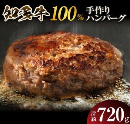 知多牛１００％ハンバーグ　１２０ｇ×６【冷凍便】