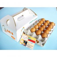 【超新鮮】青木養鶏場 ランニングエッグ赤卵30個入り【常温発送】